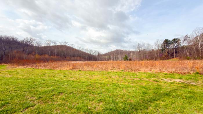 Outdoor property with timber and peaceful natural surroundings