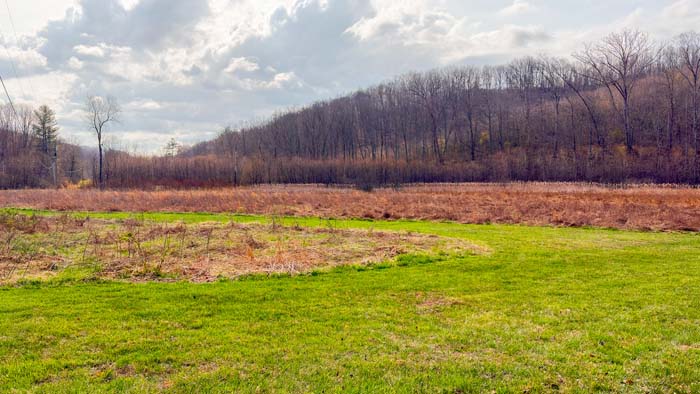 Ohio land with forest, hills, and private countryside setting