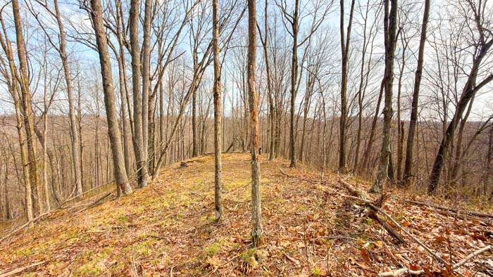 Wooded hunting property with natural terrain and seclusion