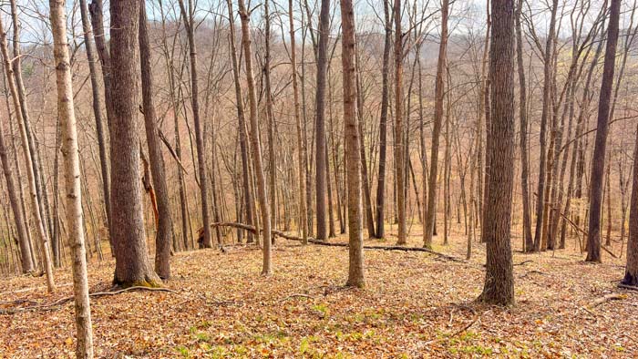 Ohio recreational land with wooded hills and scenic landscape