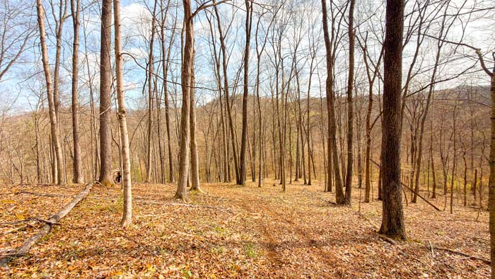 Private wooded acreage with trails and natural beauty