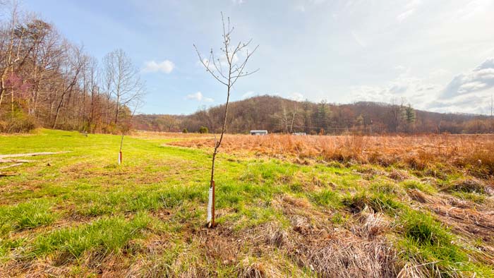 Ohio land with mixed terrain including woods and open clearings