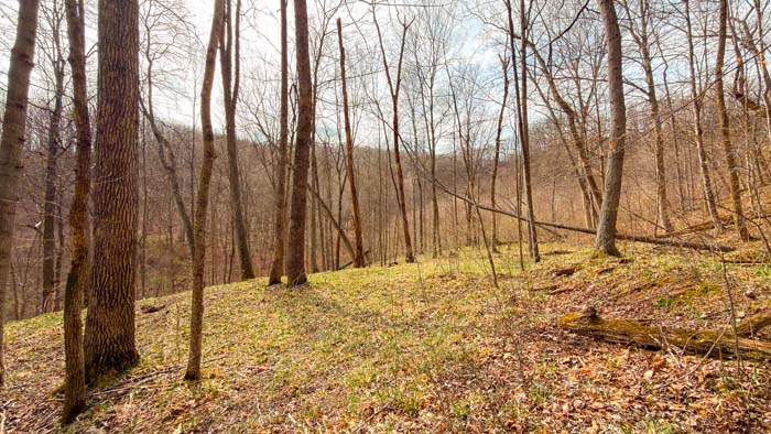 Recreational Ohio land with natural wooded surroundings