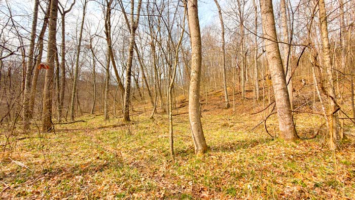 Private rural land with forest cover and scenic terrain