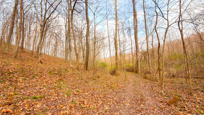 Hunting and recreational land with timber and privacy