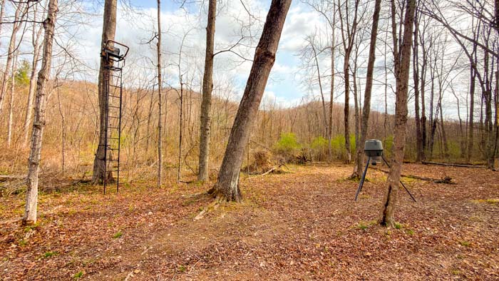 Country property with forest and rolling terrain for outdoor use