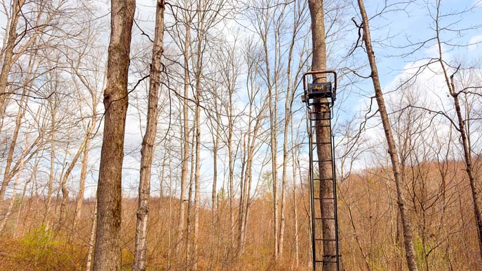 Wooded Ohio acreage with peaceful countryside environment