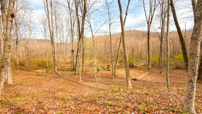 Recreational land with mature timber and natural landscape