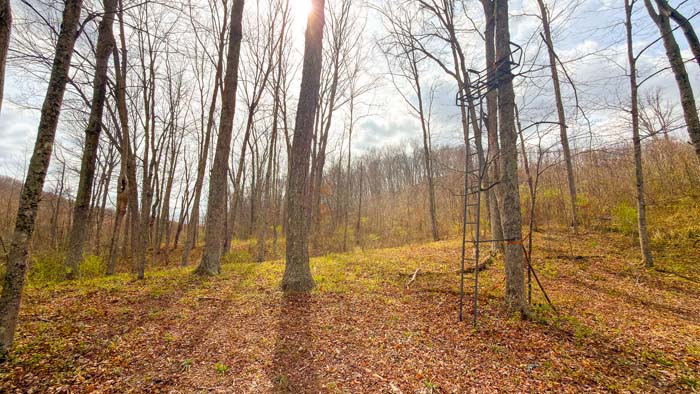 Scenic rural acreage with wooded backdrop and peaceful setting