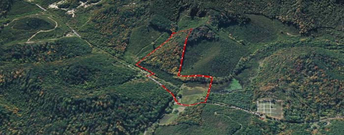 Outdoor land with forest, trails, and wildlife-rich habitat