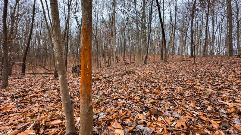 Estate caliber land Ohio