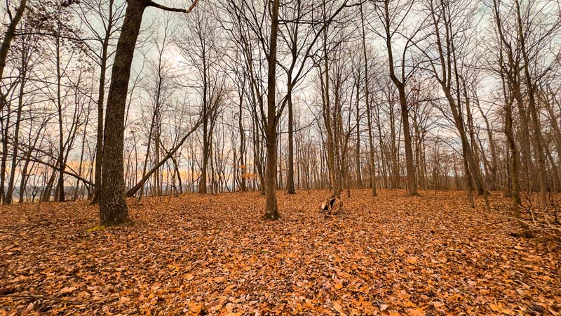 Premier southern Ohio estate