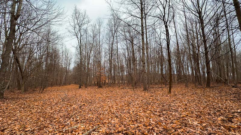 High end estate property Ohio