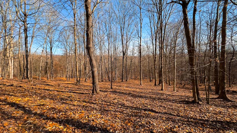 Private recreational estate Ohio