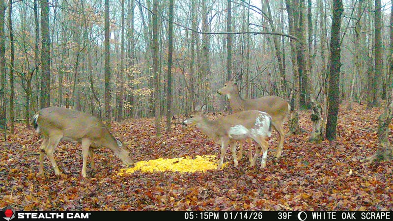 Estate with acreage Ohio