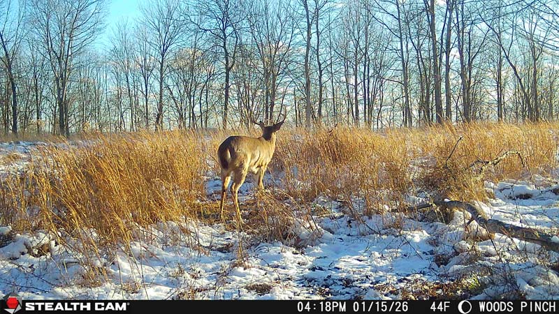 Scenic views estate Ohio
