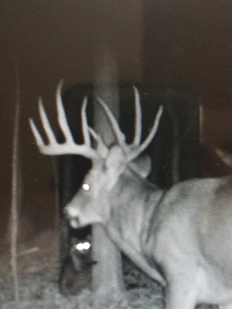 Estate investment property Ohio