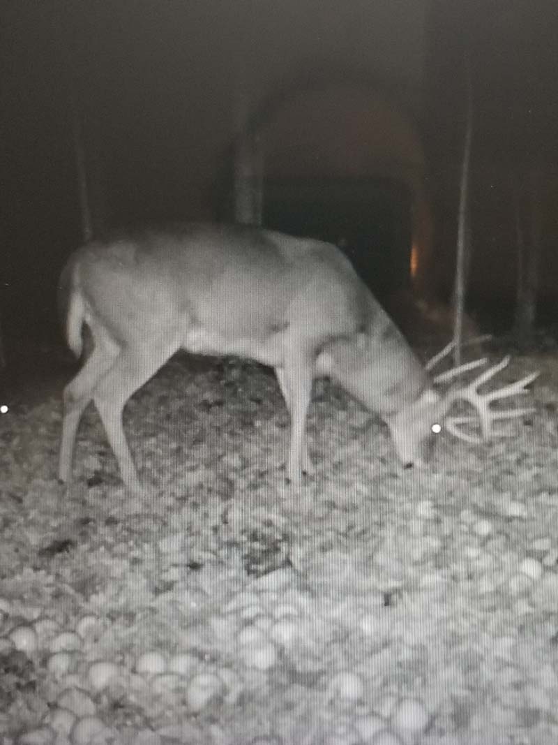 Exclusive Ohio acreage estate