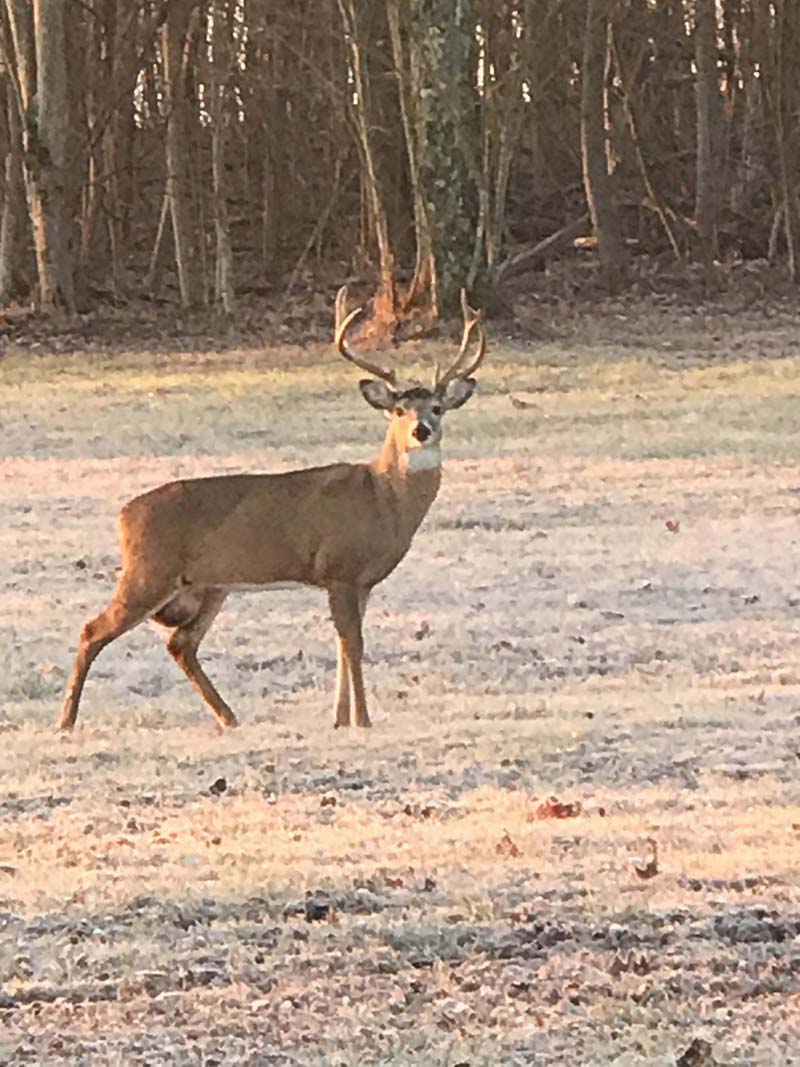 Prestigious estate Pike County