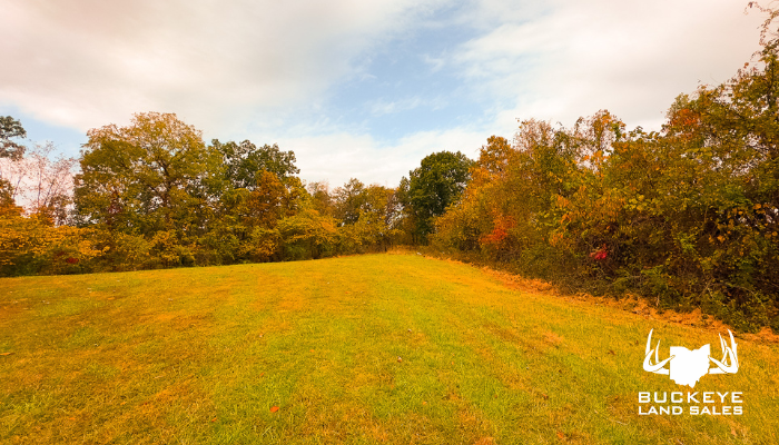 1334 Township Road 214 N, Willow Wood, OH 45696 41+/- Acres
