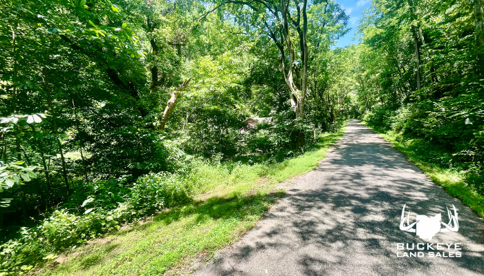 54+/- Acres