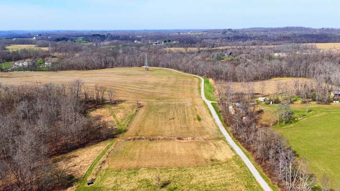 Clean open ground suitable for homesite