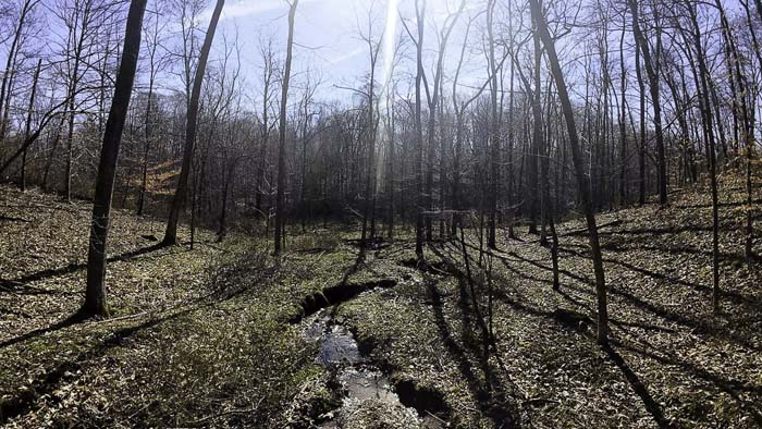 Flowing creek providing water source