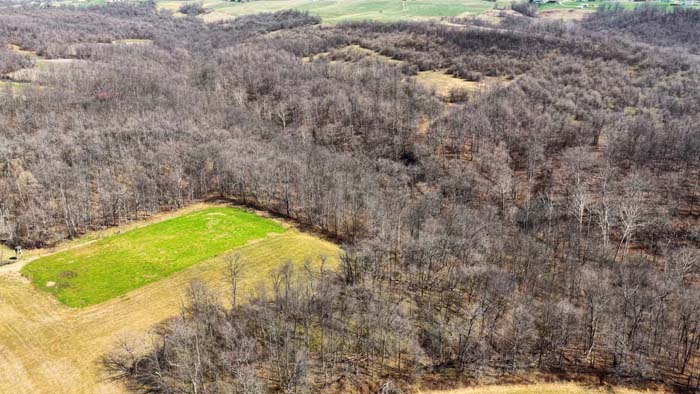 Wooded edge habitat providing cover for wildlife