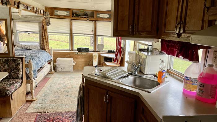 Oak timber stand on hunting property