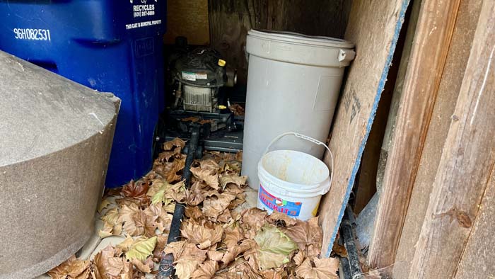 Clearing near timber edge on rural land