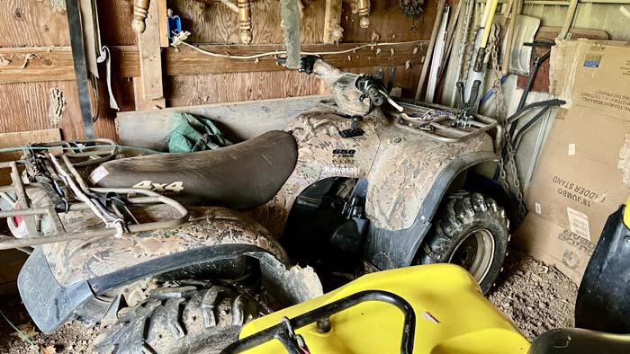 Feeder site in wooded habitat