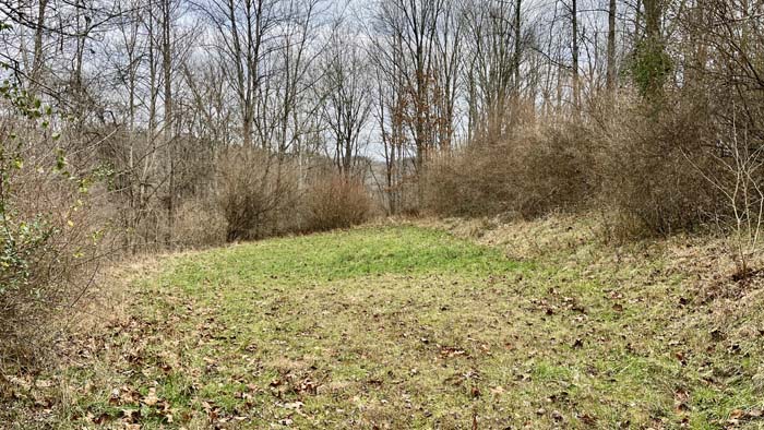 Brushy bedding cover on Athens County tract