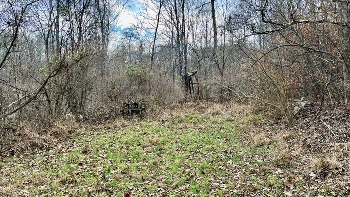 Hardwoods with gentle slope to creek