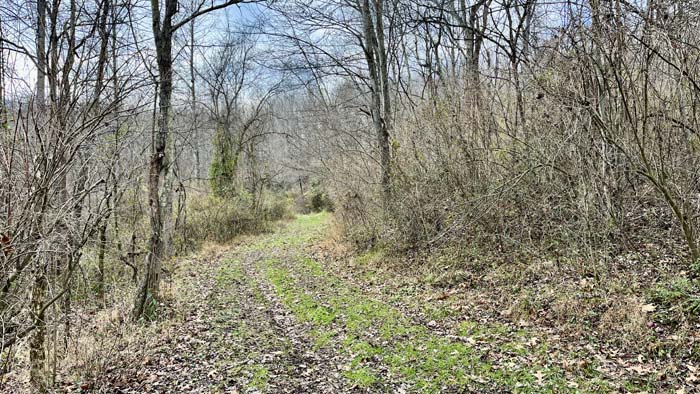 Premier camper with utilities on site