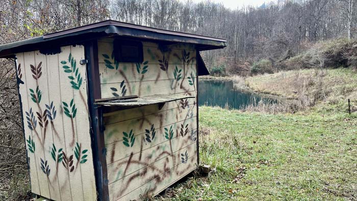 Septic and electric area near campsite