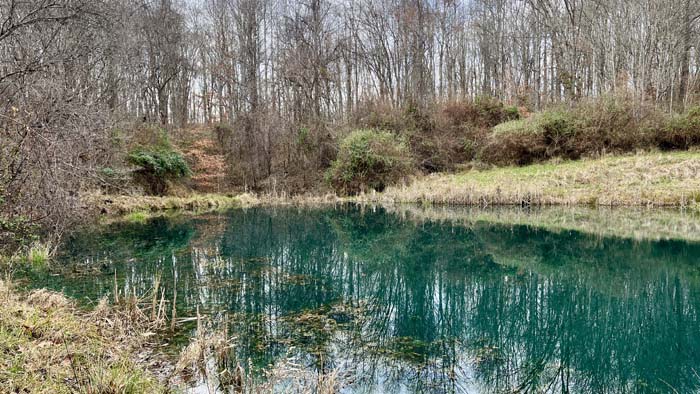 Suzuki King Quad ATV included equipment