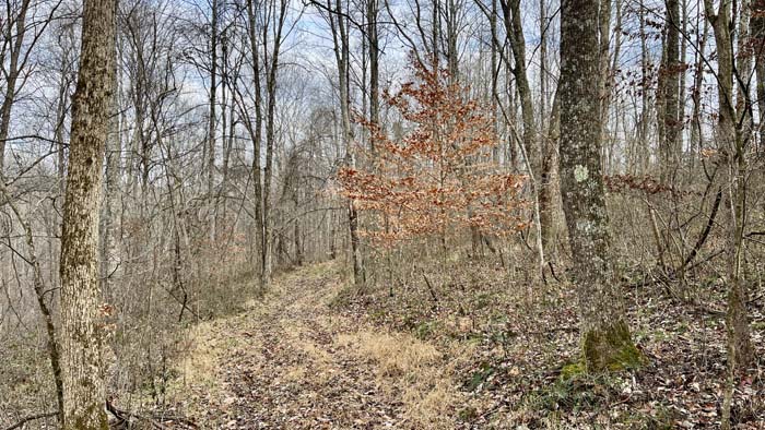 Pull behind brush hog included equipment