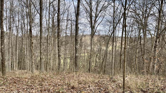 Storage area beside camper base camp