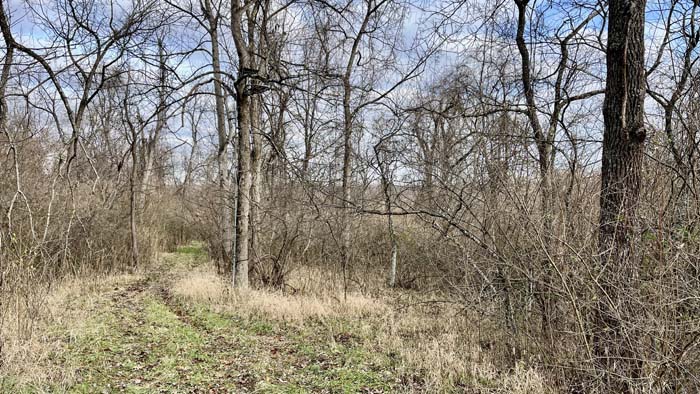 Creek crossing through Athens County land