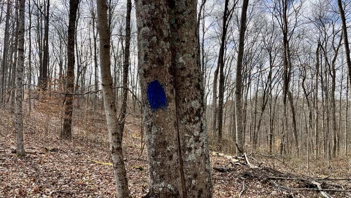 Wildlife trail near pond