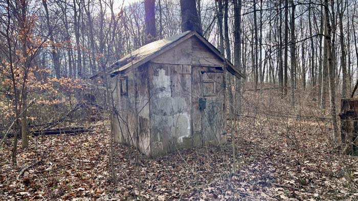 Timber ridge overlooking creek