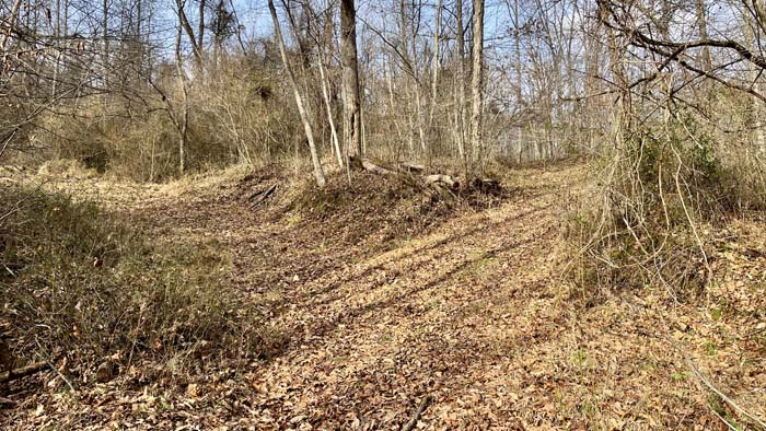 Trail junction on Mush Run Road acreage