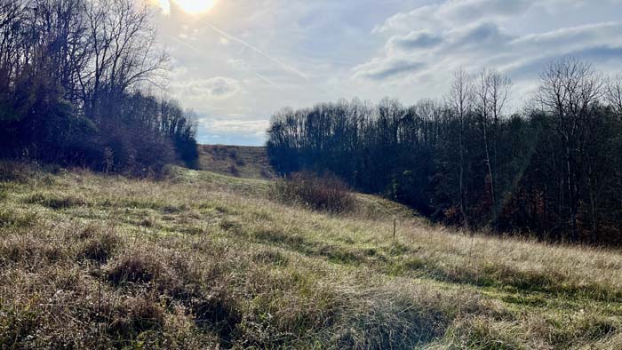 Creekside hardwoods with bedding cover