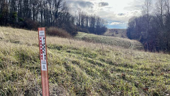 Natural funnel for deer movement