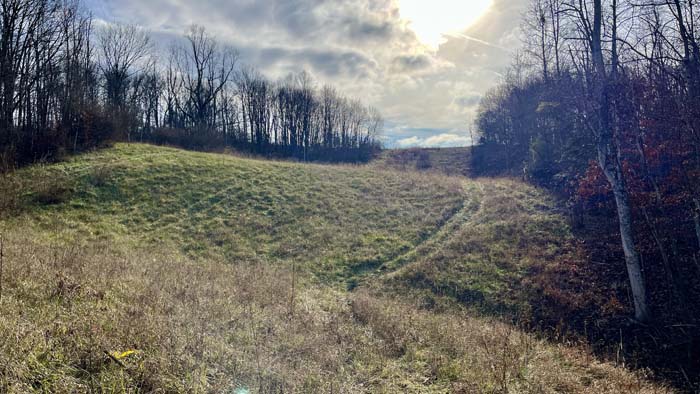 Open area near pond access
