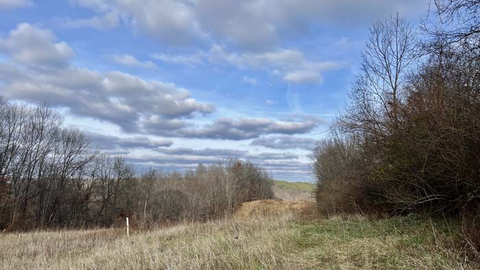 Forest canopy across Athens County tract