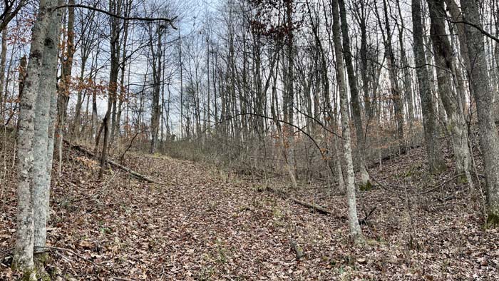 Private access point into property