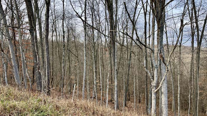 Rolling hardwood hills in rural Athens County