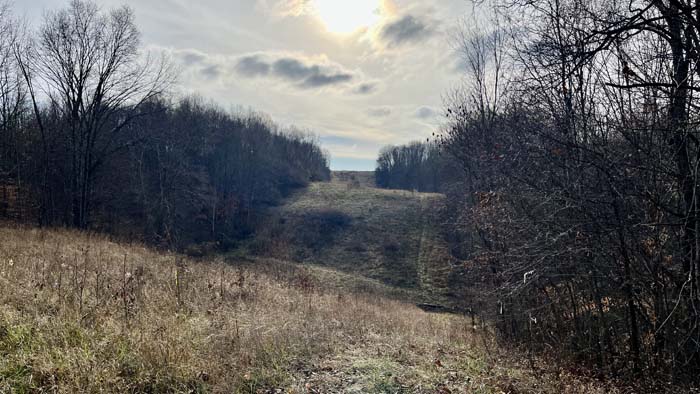 Wildlife sign and natural travel routes