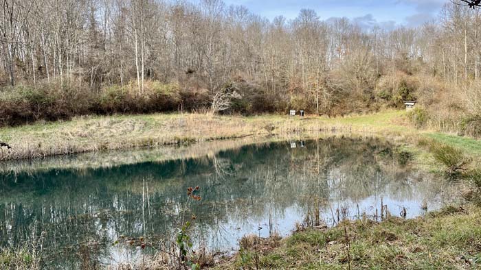 Pond overflow area surrounded by habitat